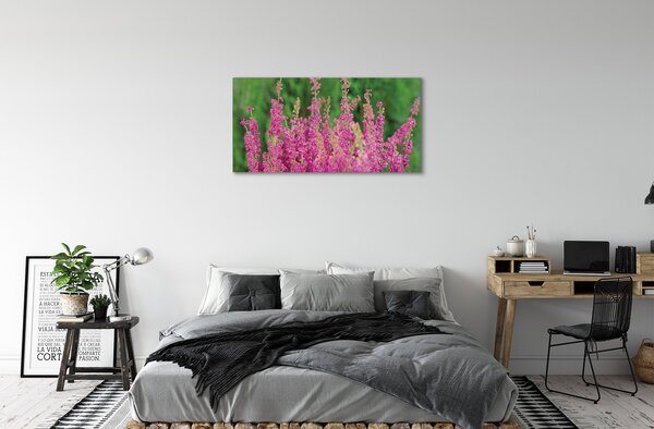 Quadro su tela Fiori di erica 100x50 cm