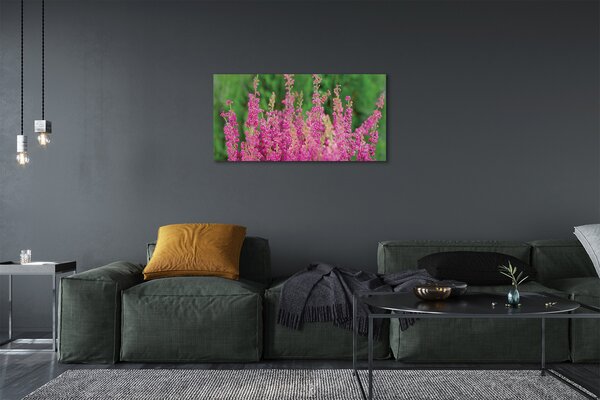 Quadro su tela Fiori di erica 100x50 cm