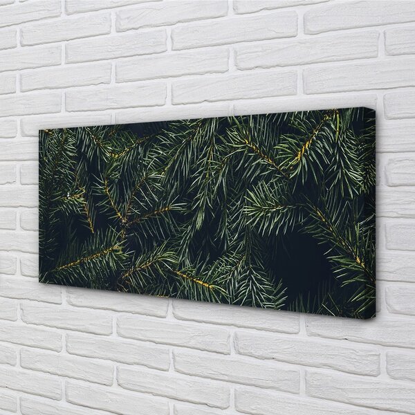 Foto quadro su tela Rami dell'albero di Natale 100x50 cm