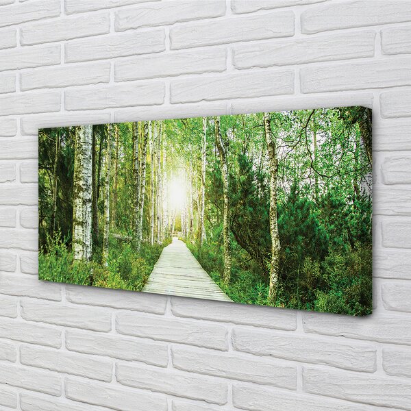 Quadro su tela Birch Forest Road Birch 100x50 cm