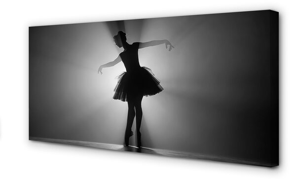 Quadro su tela Sfondo grigio ballerina 100x50 cm
