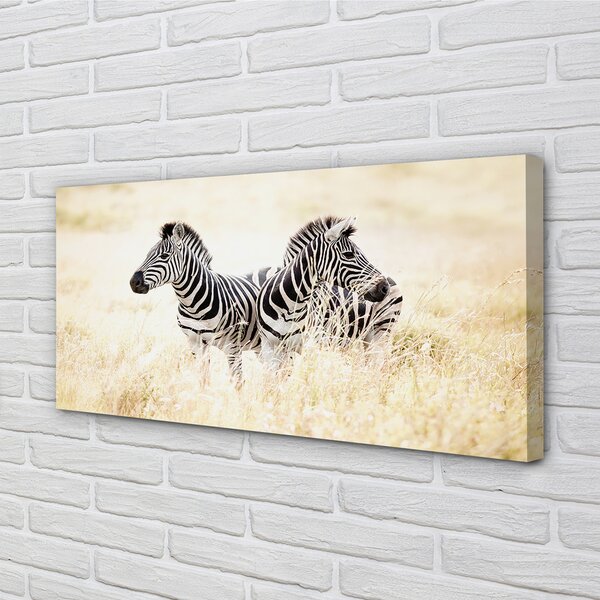 Quadro stampa su tela Zebry polo 100x50 cm