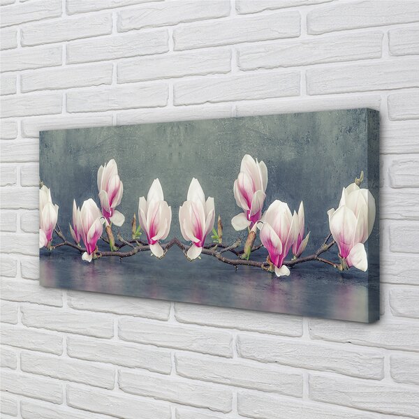 Foto quadro su tela Ramo magnolia 100x50 cm