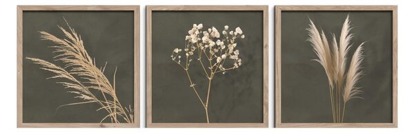 Set di dipinti 3 pz 30x30 cm Pampas – Styler