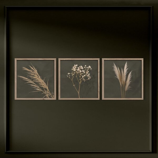 Set di dipinti 3 pz 30x30 cm Pampas – Styler