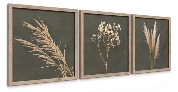 Set di dipinti 3 pz 30x30 cm Pampas – Styler