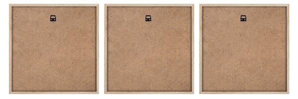 Set di dipinti 3 pz 30x30 cm Pampas – Styler