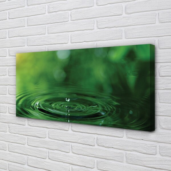 Quadro su tela Una goccia d'acqua macro 100x50 cm