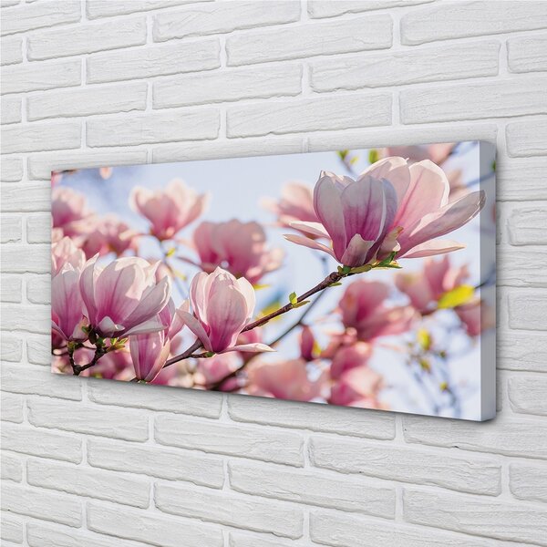 Quadro su tela Magnolia 100x50 cm