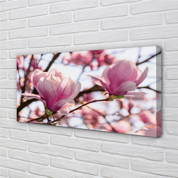 Quadro su tela Alberi magnolia 100x50 cm