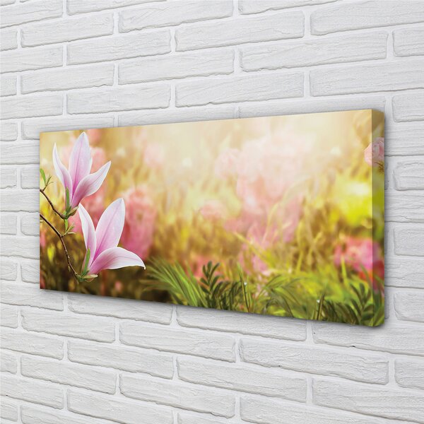 Quadro su tela Magnolia Trees Sun 100x50 cm