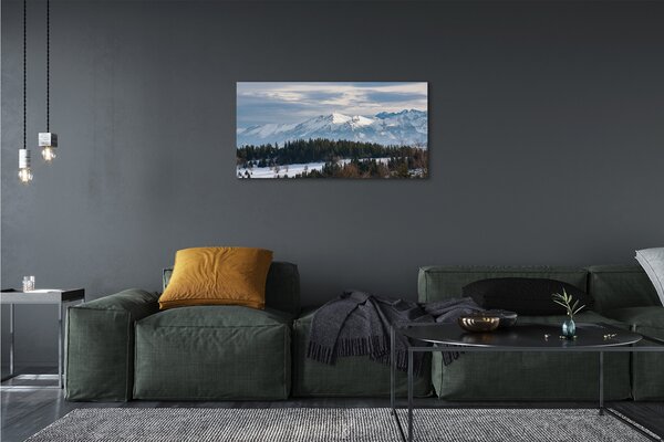 Quadro su tela Montagne Snow invernale 100x50 cm