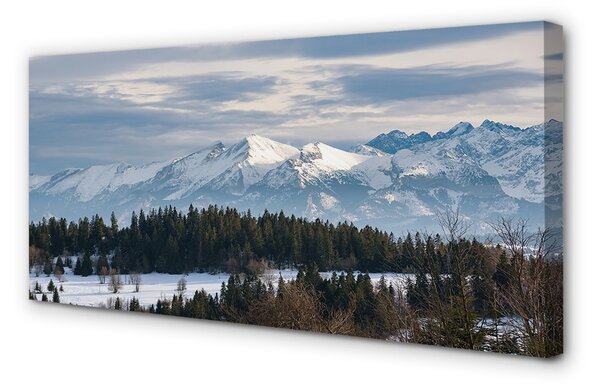 Quadro su tela Montagne Snow invernale 100x50 cm