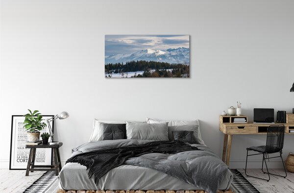 Quadro su tela Montagne Snow invernale 100x50 cm
