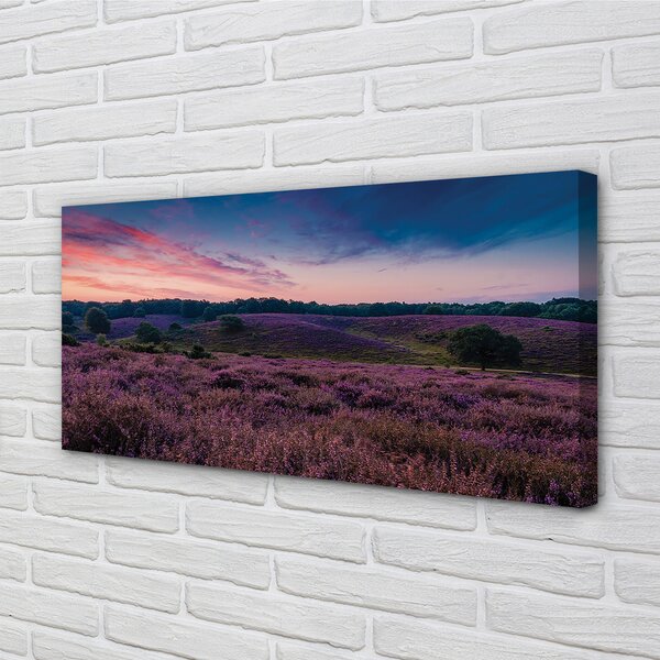 Stampa quadro su tela Campo heather 100x50 cm