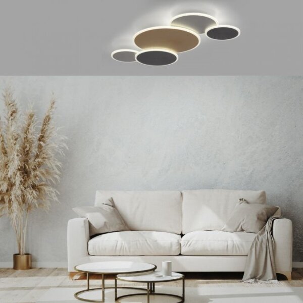Paul Neuhaus 8008-70-Luce LED dimmerabile Q-PIATO LED/49W/230V 2700-5000K+RC