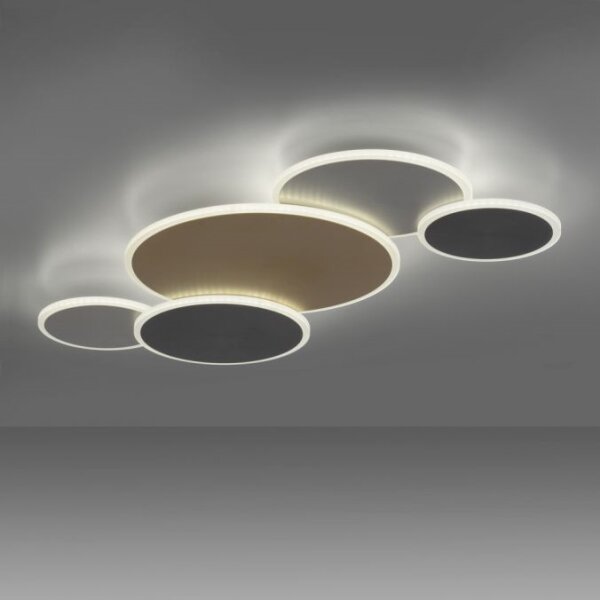 Paul Neuhaus 8008-70-Luce LED dimmerabile Q-PIATO LED/49W/230V 2700-5000K+RC