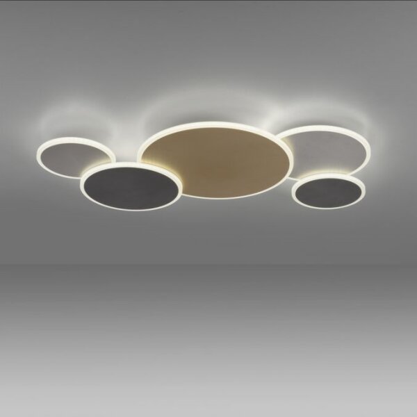 Paul Neuhaus 8008-70-Luce LED dimmerabile Q-PIATO LED/49W/230V 2700-5000K+RC