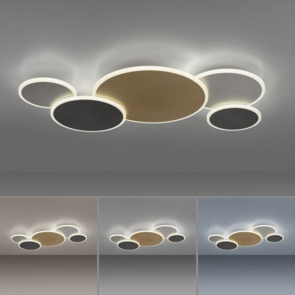 Paul Neuhaus 8008-70-Luce LED dimmerabile Q-PIATO LED/49W/230V 2700-5000K+RC