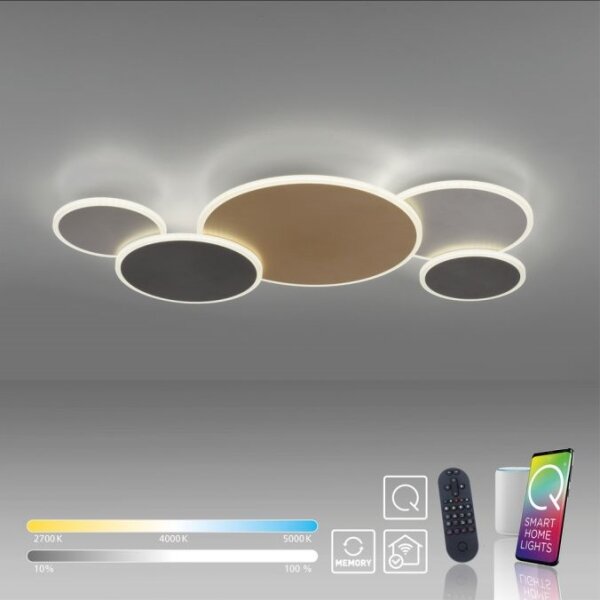 Paul Neuhaus 8008-70-Luce LED dimmerabile Q-PIATO LED/49W/230V 2700-5000K+RC