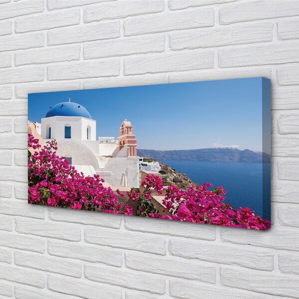 Quadro stampa su tela Edifici marini dei fiori della Grecia 100x50 cm