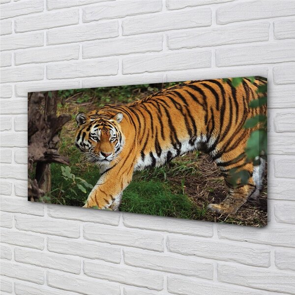 Quadro su tela Foresta di tigre 100x50 cm