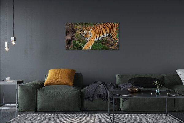Quadro su tela Foresta di tigre 100x50 cm