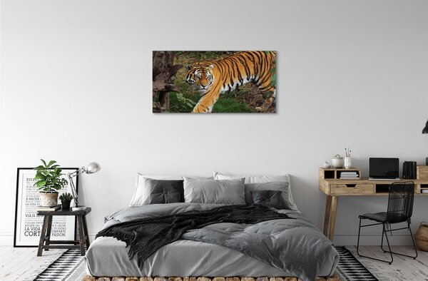 Quadro su tela Foresta di tigre 100x50 cm