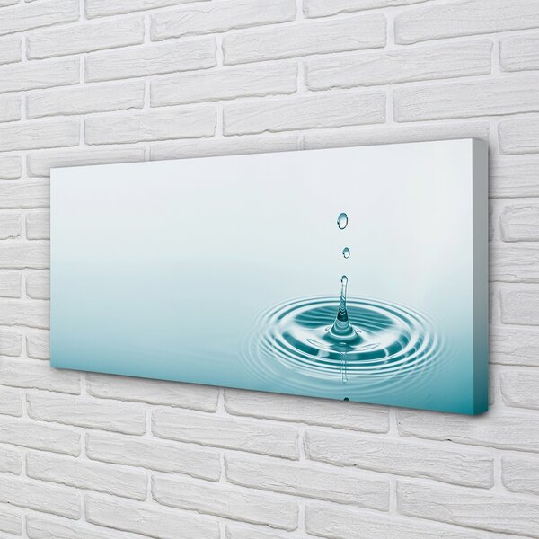 Foto quadro su tela Una goccia d'acqua macro 100x50 cm