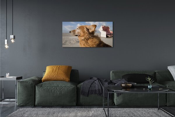 Quadro su tela Spiaggia di cani marrone 100x50 cm