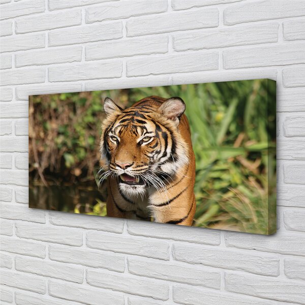 Quadro su tela Foresta di tigre 100x50 cm