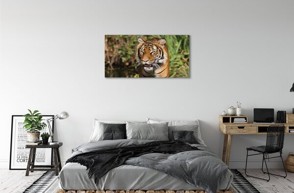 Quadro su tela Foresta di tigre 100x50 cm