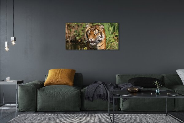 Quadro su tela Foresta di tigre 100x50 cm