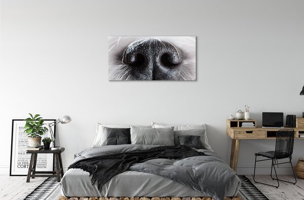 Stampa quadro su tela Naso del cane 100x50 cm
