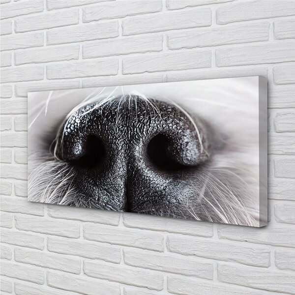 Stampa quadro su tela Naso del cane 100x50 cm