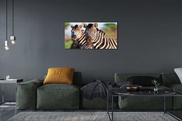 Quadro su tela Zebre 100x50 cm