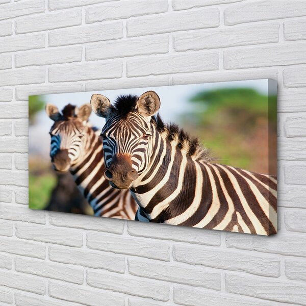 Quadro su tela Zebre 100x50 cm