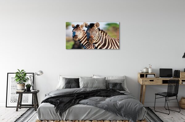 Quadro su tela Zebre 100x50 cm