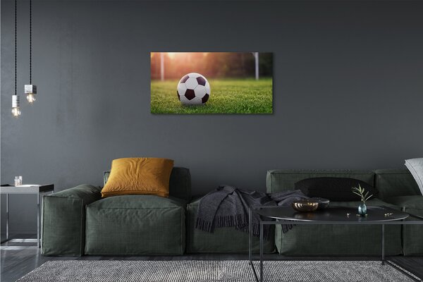 Quadro su tela Cancello di erba 100x50 cm
