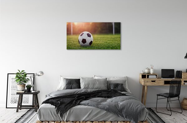 Quadro su tela Cancello di erba 100x50 cm