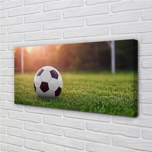 Quadro su tela Cancello di erba 100x50 cm