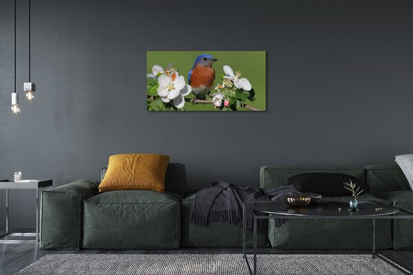 Quadro su tela Fiori di pappagallo colorati 100x50 cm