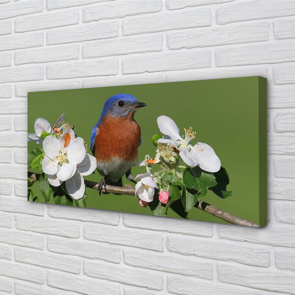 Quadro su tela Fiori di pappagallo colorati 100x50 cm