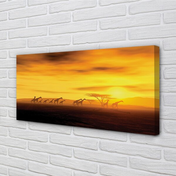 Foto quadro su tela Nuliche di giraffa albero cielo 100x50 cm