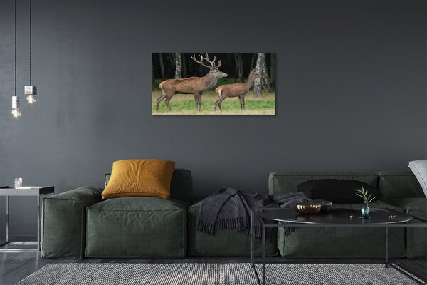 Quadro su tela Foresta di Jeleń 100x50 cm