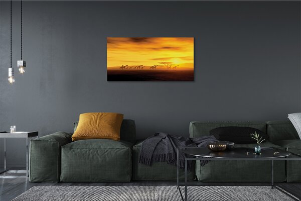 Foto quadro su tela Nuliche di giraffa albero cielo 100x50 cm