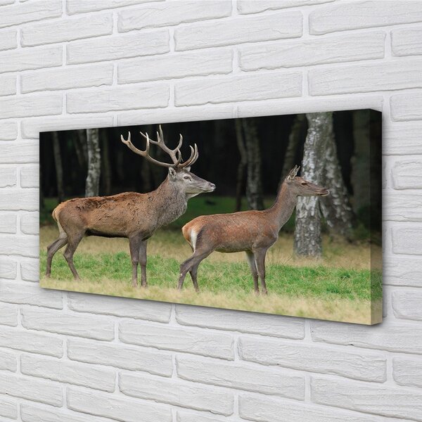 Quadro su tela Foresta di Jeleń 100x50 cm