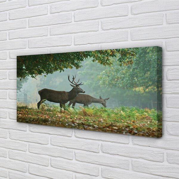 Quadro su tela Jeleń Las Autumn 100x50 cm