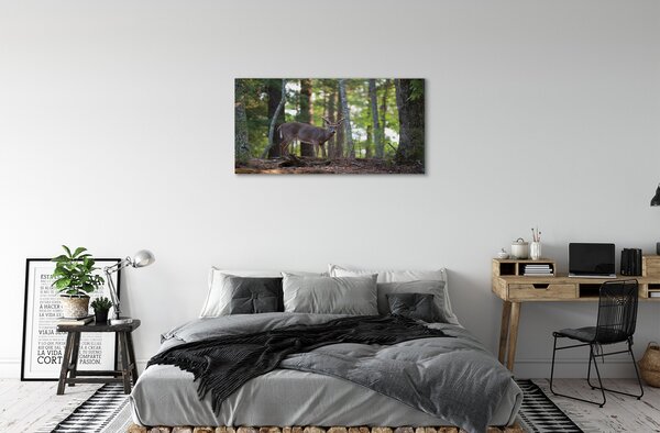 Quadro su tela Forest Jeleń 100x50 cm
