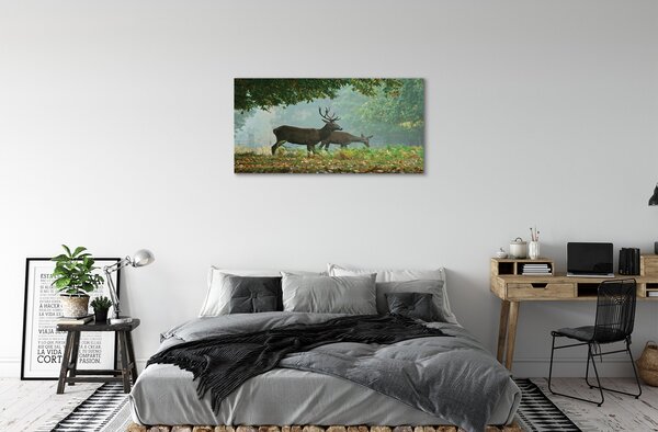 Quadro su tela Jeleń Las Autumn 100x50 cm